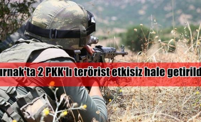 Şırnak'ta 2 PKK'lı terörist etkisiz hale getirildi