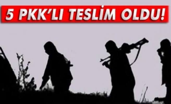 Şırnak'ta 5 PKK'lı teslim oldu