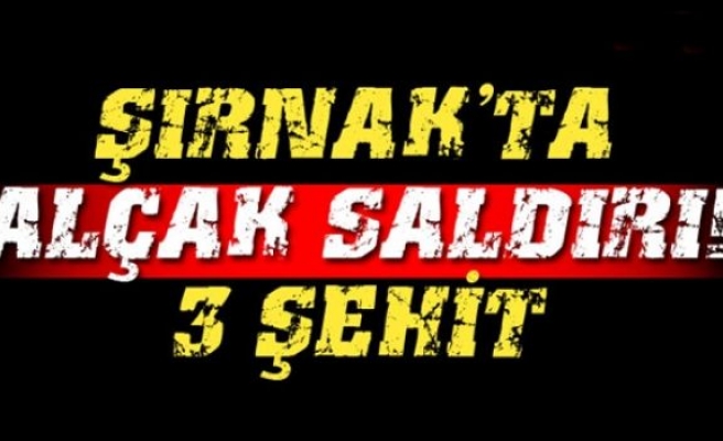 Şırnak'ta alçak saldırı: 3 şehit