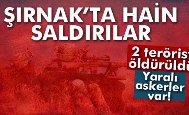 Şırnak'ta çatışma: 2 terörist öldürüldü