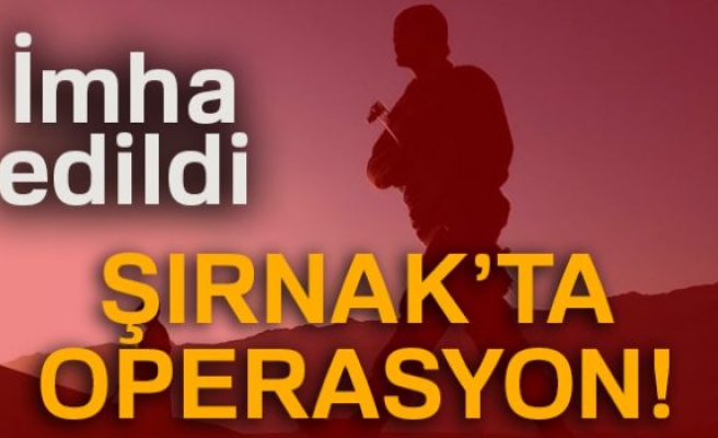 ŞIRNAK'TA OPERASYON!