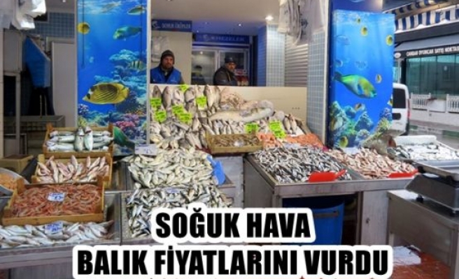 Soğuk hava balık fiyatlarını vurdu