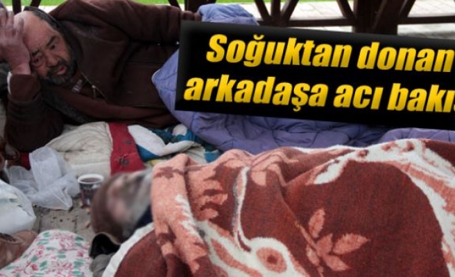 Soğuktan ölen arkadaşa son bakış