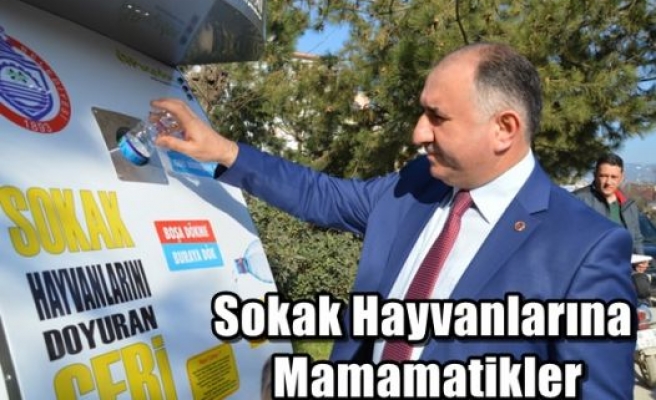 Sokak Hayvanlarına Mamamatikler