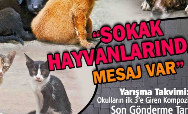 “SOKAK HAYVANLARINDAN MESAJ VAR” 