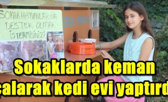 Sokaklarda keman çalarak kedi evi yaptırdı