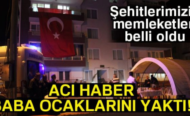 Son dakika! Şehitlerimizin memleketleri belli oldu