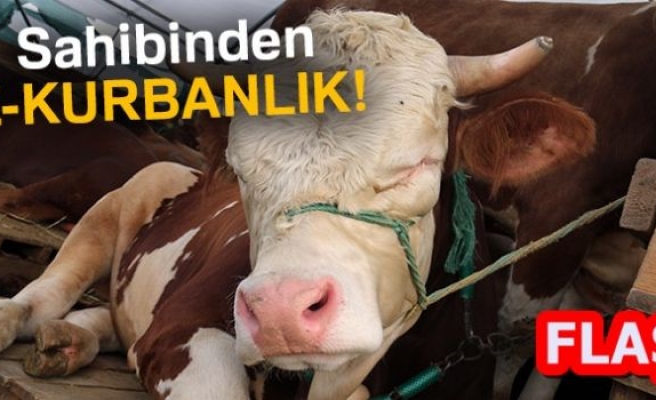 SQAHİBİNDEN E-KURBANLIK!