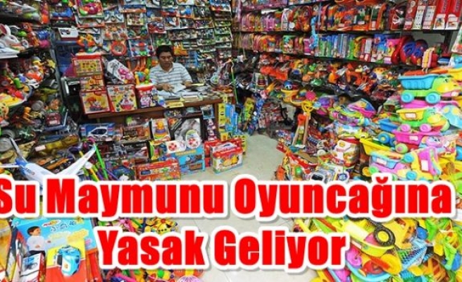 Su maymunu oyuncağına yasak geliyor