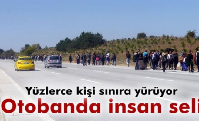 Suriyeliler Edirne'ye otobandan yürüyor