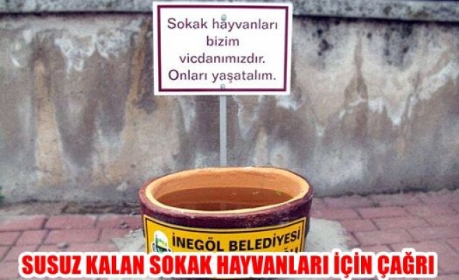 Susuz kalan sokak hayvanları için çağrı