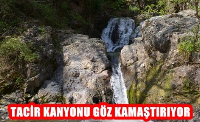 Tacir Kanyonu Göz Kamaştırıyor