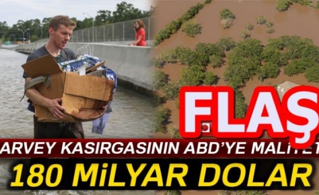 TAM 180 MİLYAR DOLAR!