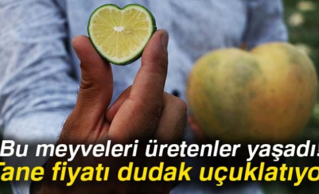 TANE FİYATI DUDAK UÇUKLATIYOR!