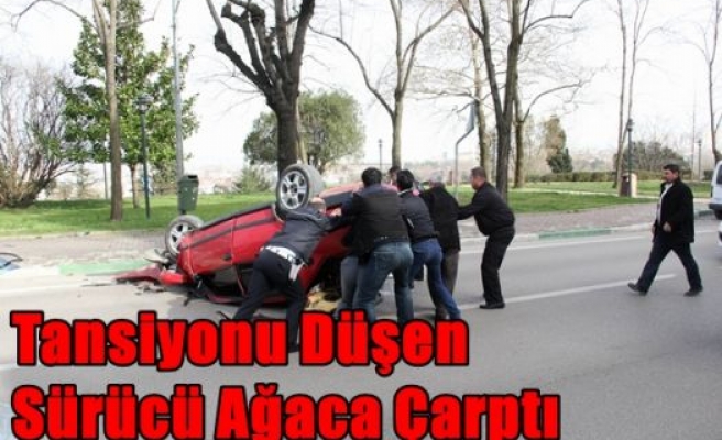 Tansiyonu Düşen Sürücü Ağaca Çarptı