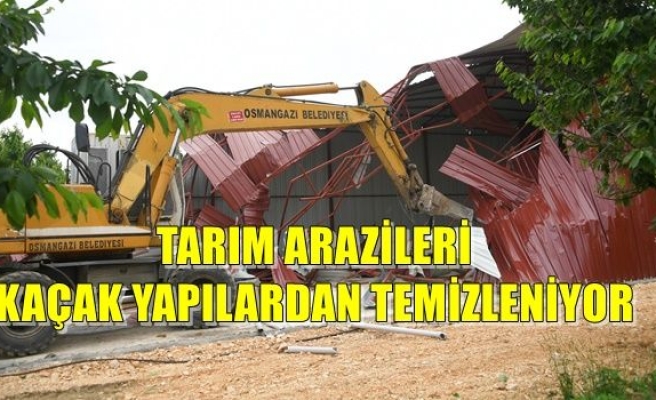 Tarım Arazileri Kaçak Yapılardan Temizleniyor