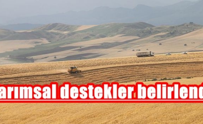 Tarımsal destekler belirlendi