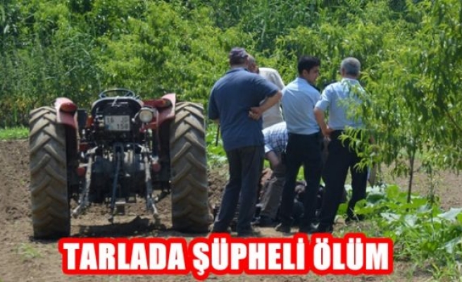 Tarlada Şüpheli Ölüm