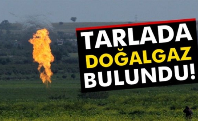 Tarladan doğalgaz çıktı