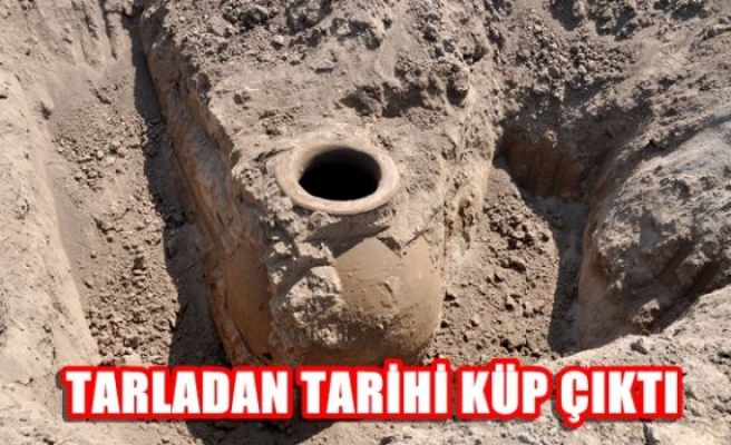 Tarladan tarihî küp çıktı