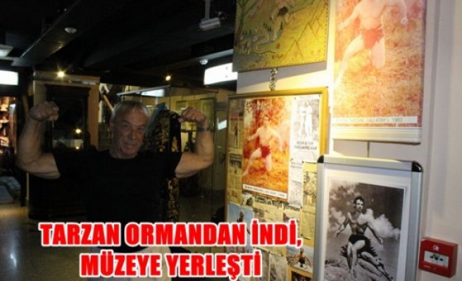 Tarzan ormandan indi, müzeye yerleşti