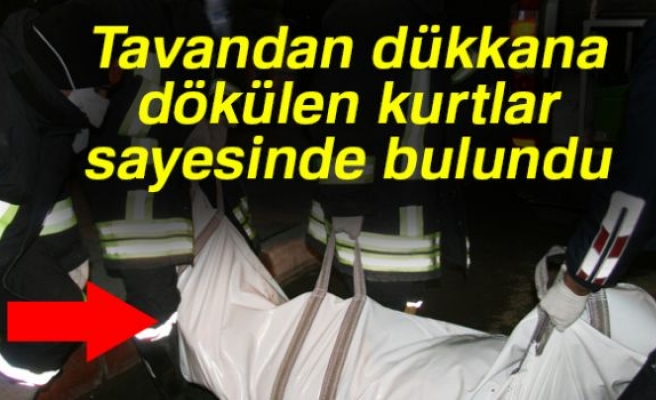 TAVANDAN DÜKKANA DÖKÜLEN KURTLAR SAYESİNDE BULUNDU!