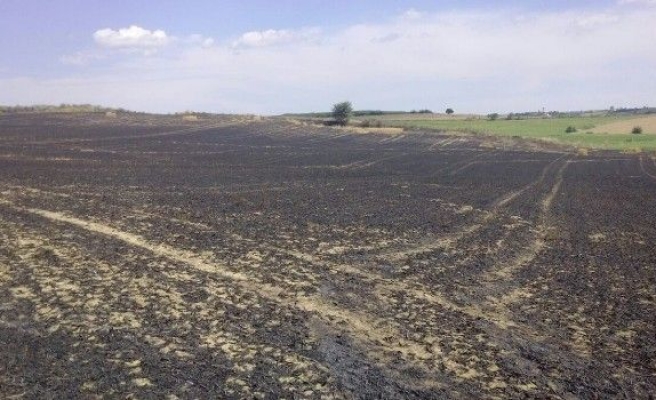 Tekirdağ’da Buğday Tarlasında Büyük Yangın