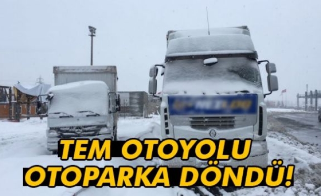 TEM Otoyolu otoparka döndü