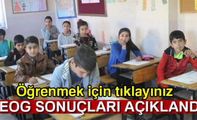 TEOG sonuçları açıklandı