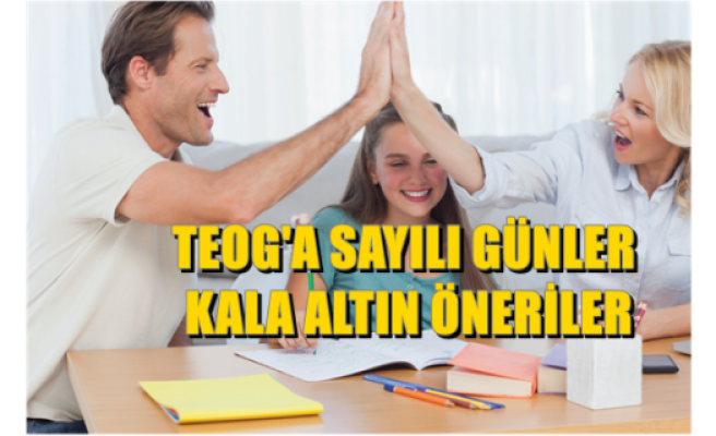 TEOG'A Sayılı Günler Kala Altın Öneriler