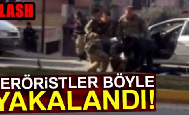 Teröristler böyle yakalandı