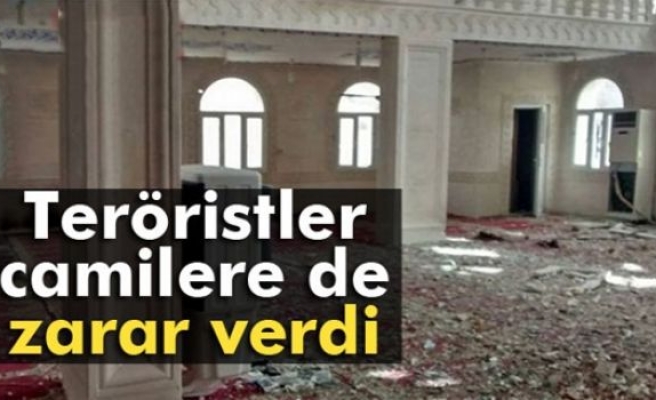 Teröristler camilere de zarar verdi