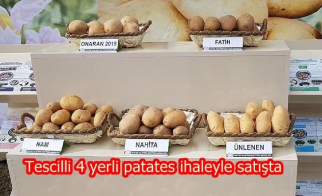 Tescilli 4 yerli patates ihaleyle satışta