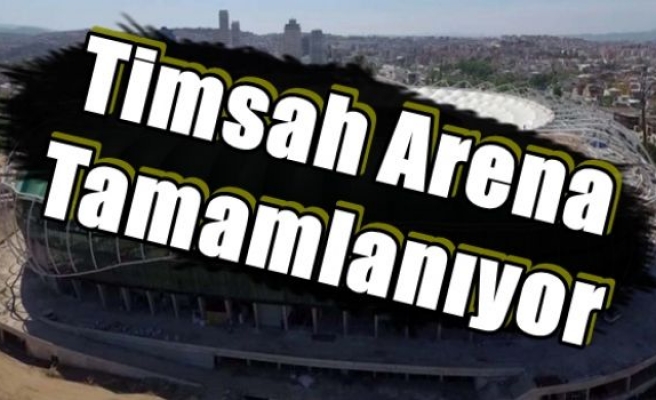 Timsah Arena Tamamlanıyor