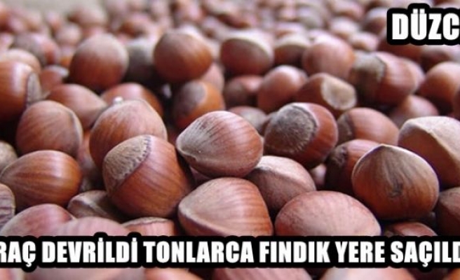 TONLARCA FINDIK YERE  SAÇILDI 