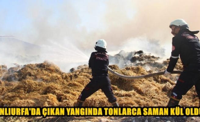 TONLARCA SAMAN KÜL OLDU