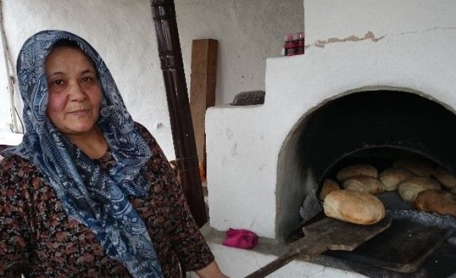 Toprak Fırınların En İyi Yakacağı ’Aydın Sapı’