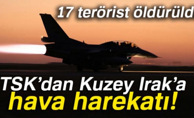 TSK açıkladı! 17 terörist öldürüldü