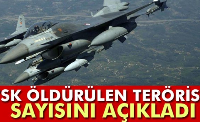 TSK öldürülen terörist sayısını açıkladı