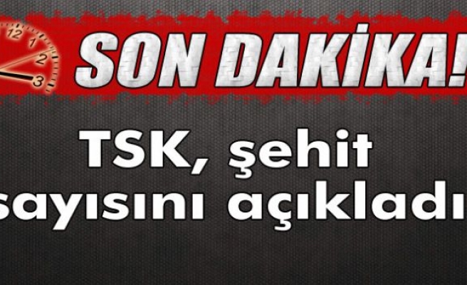 TSK'dan Dağlıca açıklaması: 16 şehit