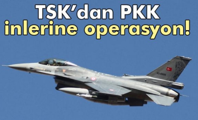 TSK'dan PKK inlerine operasyon