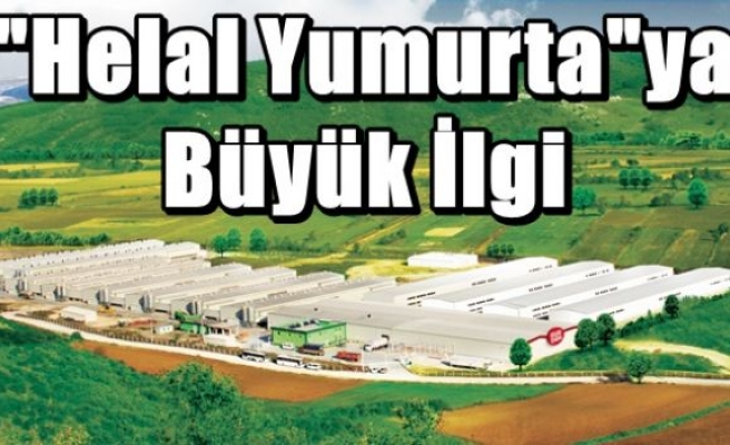 Tüketicilerden “Helal Yumurta“ya Büyük İlgi