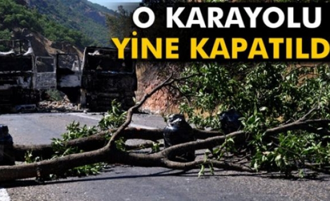 Tunceli-Erzincan karayolu yeniden ulaşıma kapatıldı