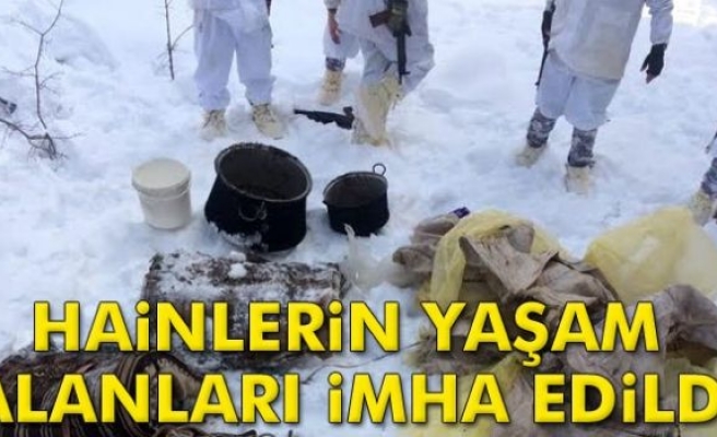 Tunceli'de hainlerin yaşam alanları imha edildi