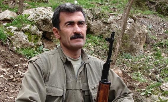 Tunceli’de PKK’ya Ağır Darbe