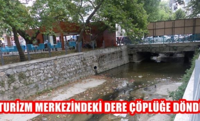 Turizm merkezindeki dere çöplüğe döndü