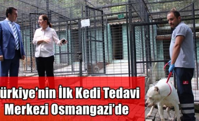 Türkiye’nin İlk Kedi Tedavi Merkezi Osmangazi’de