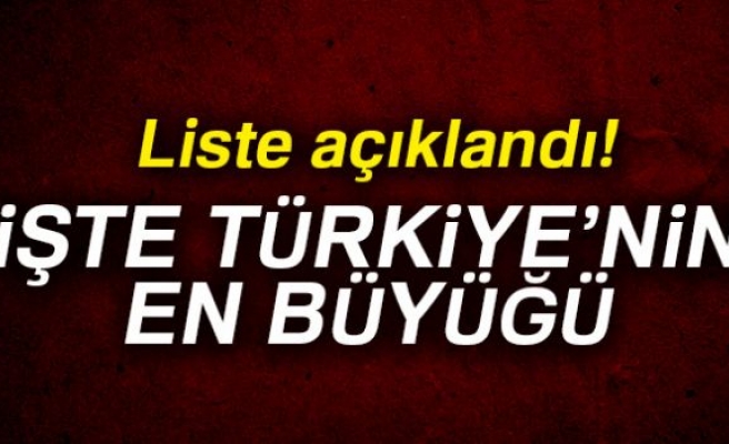 Türkiye'nin sanayi devleri belli oldu