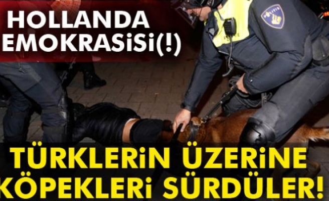 Türklerin Üzerine Köpeklerini Sürdüler!