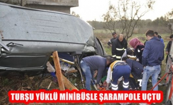 Turşu Yüklü Minibüsle Şarampole Uçtu